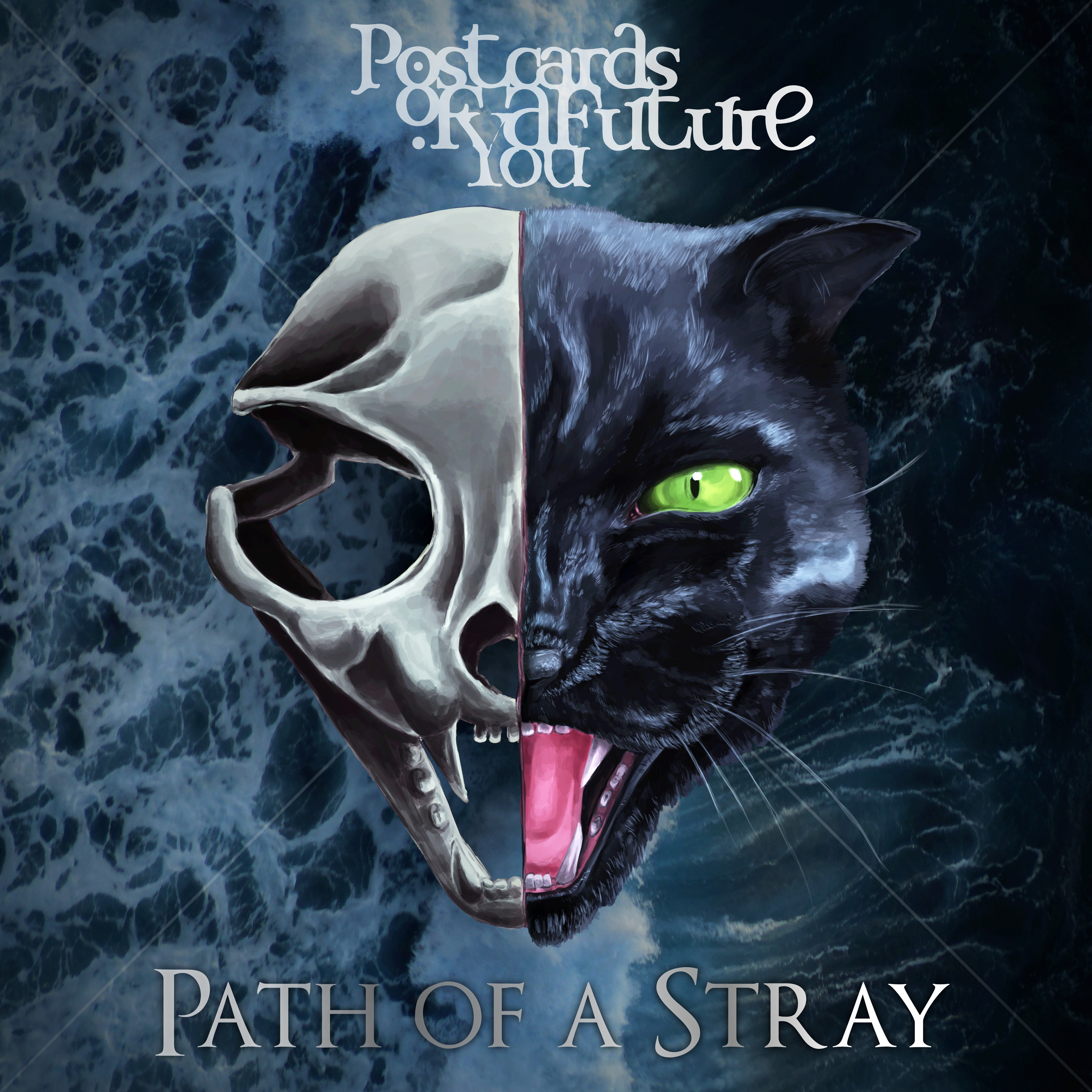Path of a Stray